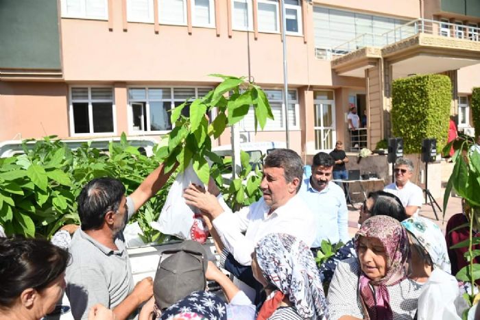 Anamur Belediyesi Kadn iftilere cretsiz Avokado Fidan Datt