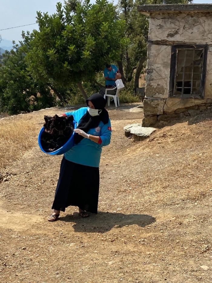 Bozyaz Kaymakamlndan Vefa Projesi ile 111 Hane ve 160 Vatandaa Hizmet