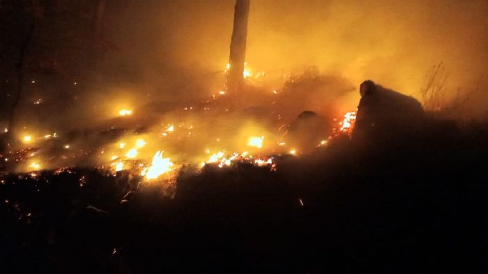 BOZYAZI DA ORMAN YANGINI KONTROL ALTINA ALINDI