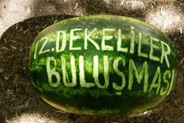 Konyada Dekelililer 12. Bulumasn Gerekletirdi