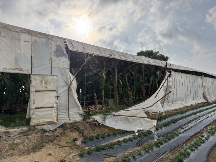 Bozyazda Hortum Seralara Zarar Verdi