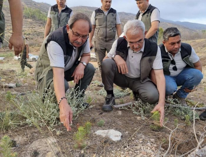 Karacabey, Cierlerimiz yanmasn diye ltfen dikkat edelim