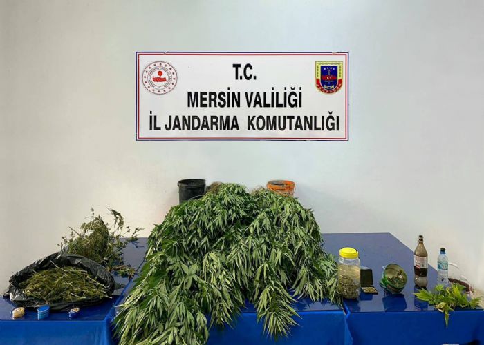 Jandarma 5 kilo kubar esrar ile 578 kk kenevir bitkisi ele geirdi